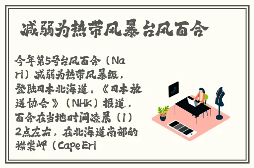 特级毛片绝黄A片免费播